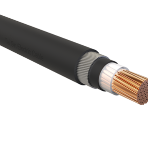 FRT-XAH (CUXLPELSZHAWALSZH) (Single Core) tai sin